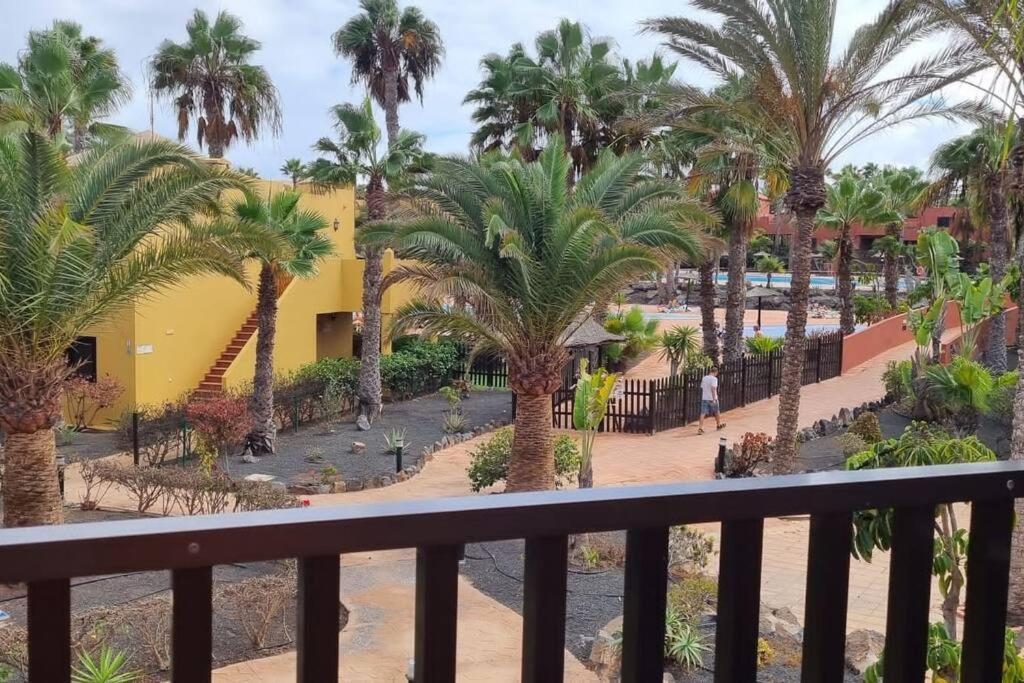 Appartamento Bouganville Con Terrazza E Piscina Κοραλέχο Εξωτερικό φωτογραφία