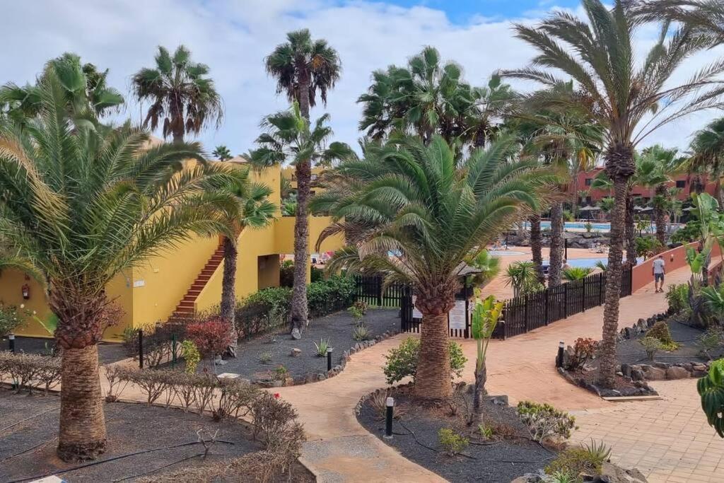 Appartamento Bouganville Con Terrazza E Piscina Κοραλέχο Εξωτερικό φωτογραφία